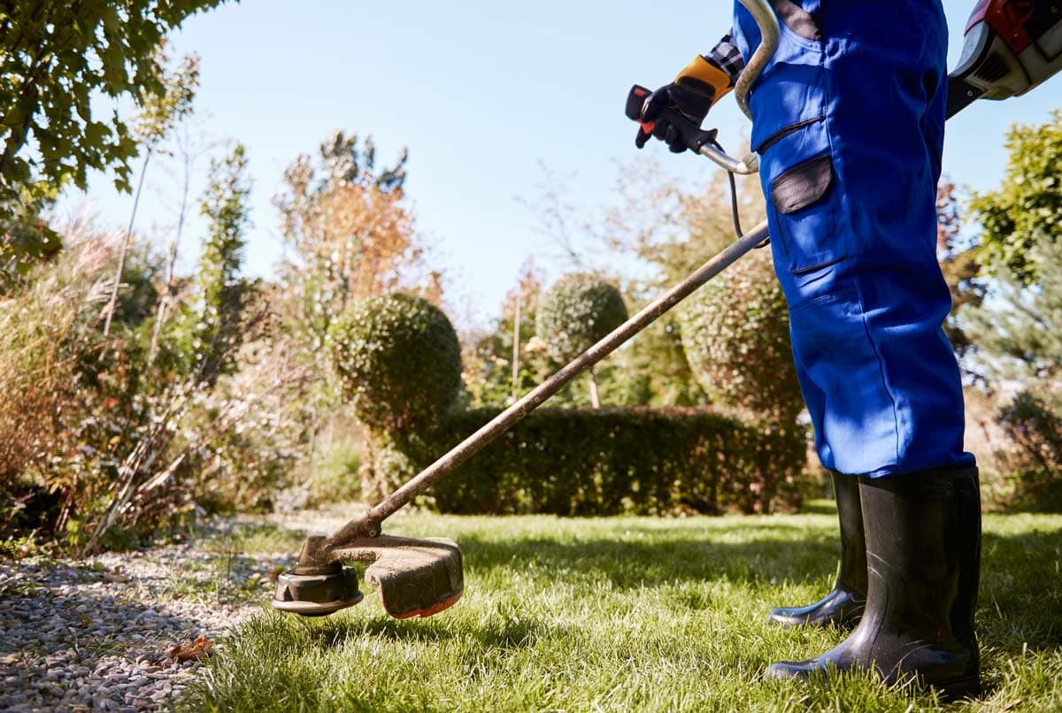 Generate Organic Leads for Your Landscaping Company